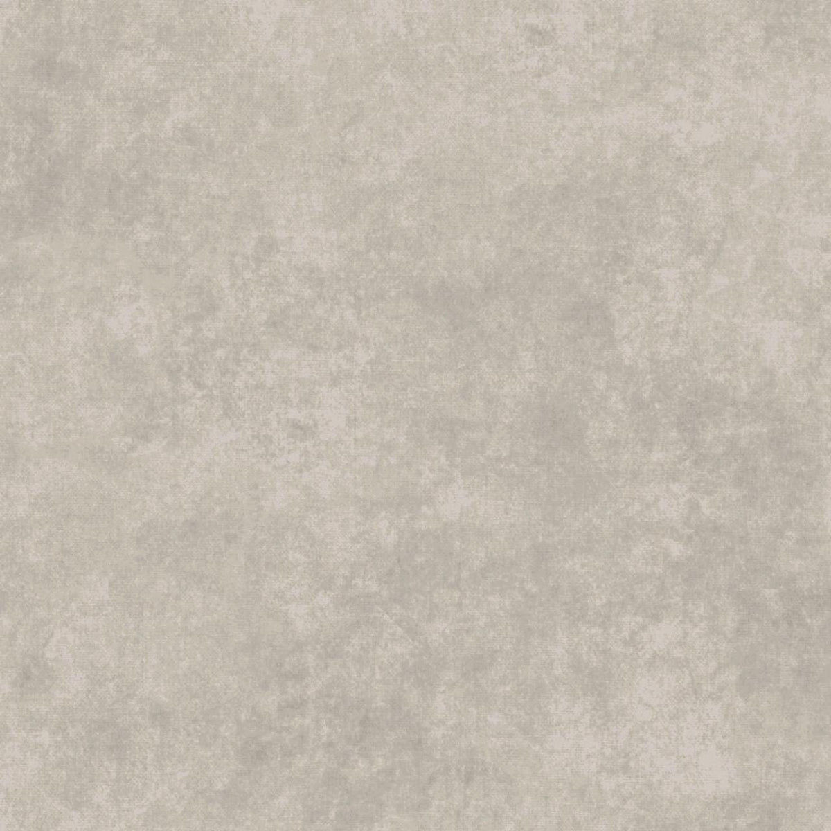 Maywood Studios Gray blender Flannel ~ Shadowplay Grayhound