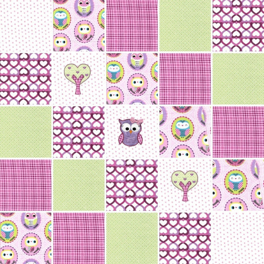 Pre Cut Rag Quilt KIT - Owls in pink and green